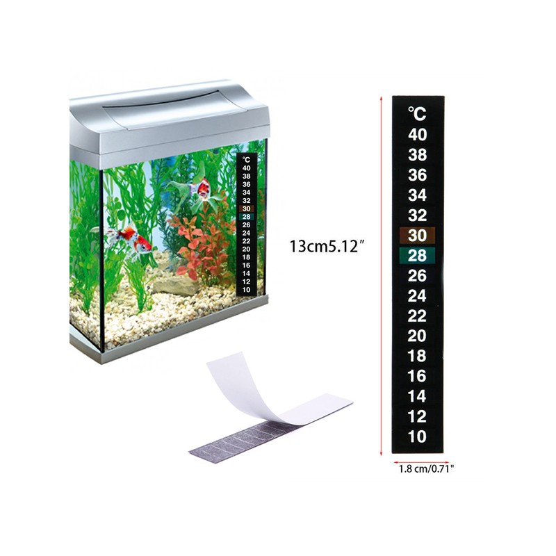 Pssopp Termometro in Vetro per Acquario, Display Trasparente Serigrafato  Termometro in Vetro per Acquario Termometro per Acqua in Vetro Termometro  per Acquario Portatile (0,39 Pollici) : : Prodotti per animali  domestici