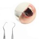 SISTEMA PULIZIA DENTALE RIMOZIONE TARTARO PLACCA DENTALE VIBRAZIONI SONORE